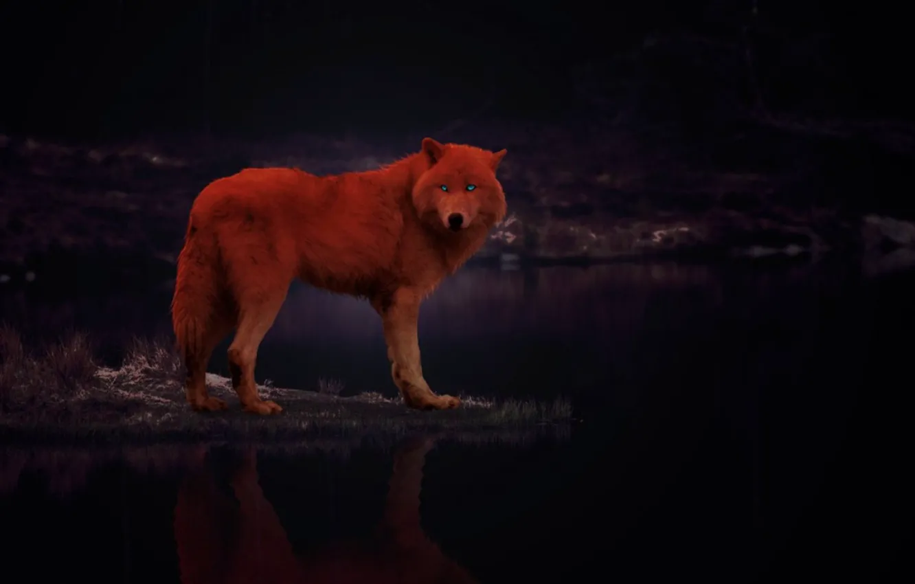 Фото обои fantasy, animal, wolf, insomniah