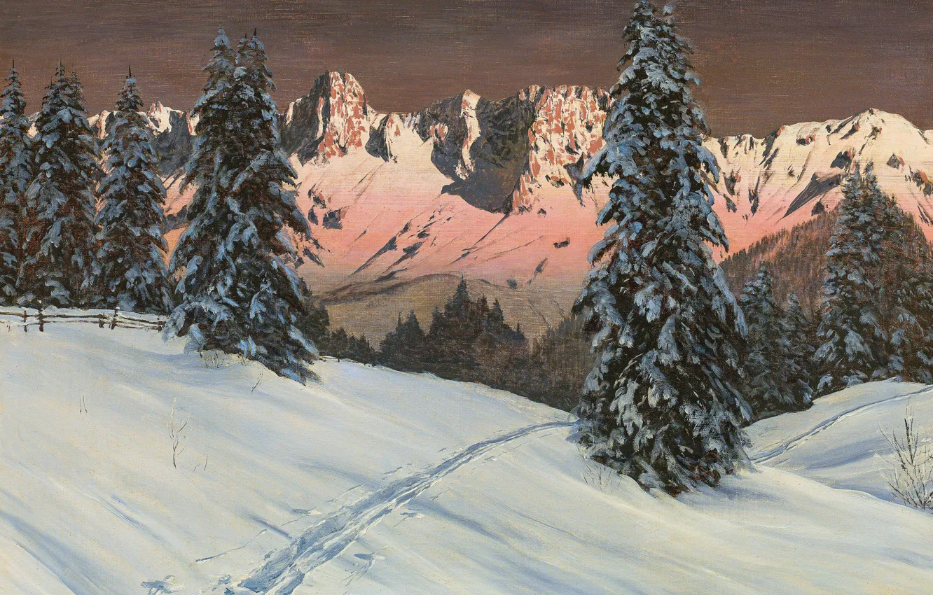 Фото обои Горы, Снег, Картина, Alois Arnegger, Ели, Алоис Арнеггер, Австрийский живописец, Заходящее солнце над горами Кошута …