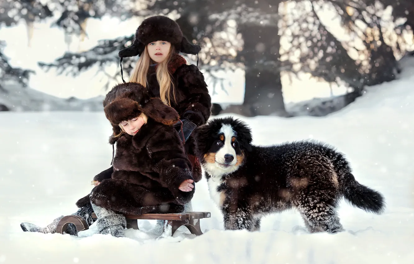 Фото обои зима, снег, природа, дети, животное, собака, мальчик, девочка