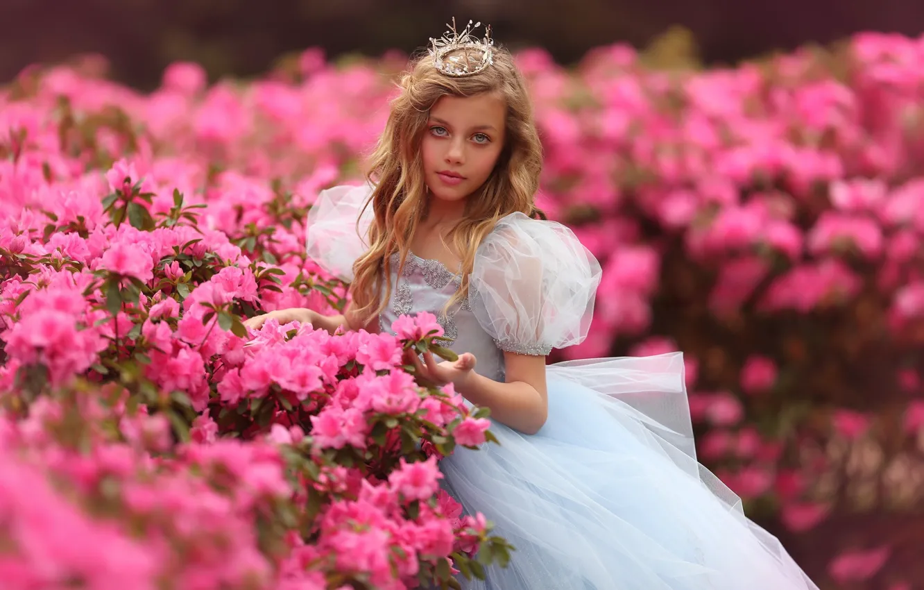Фото обои цветы, природа, корона, платье, девочка, наряд, принцесса, кусты
