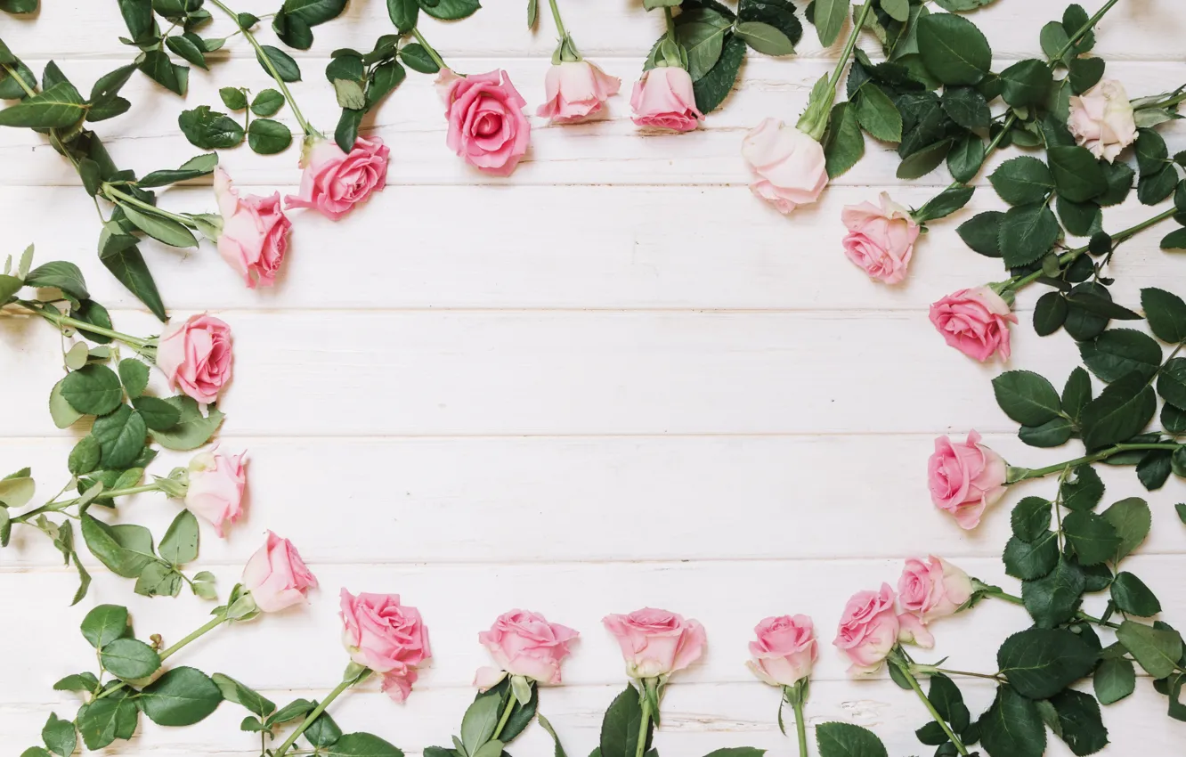 Фото обои розы, розовые, бутоны, красивые, wood, pink, roses