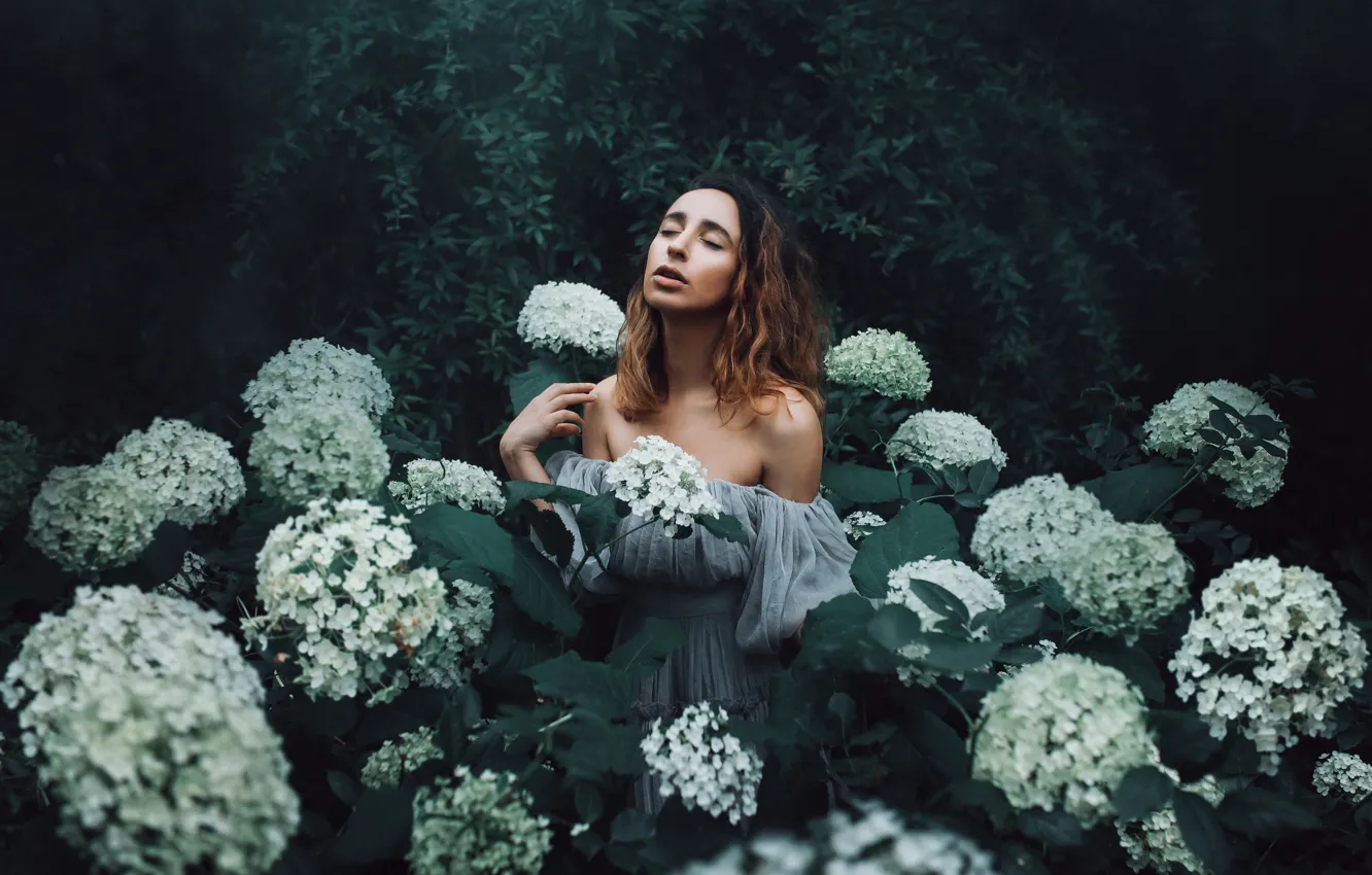 Фото обои девушка, цветы, настроение, гортензия, Amy Spanos