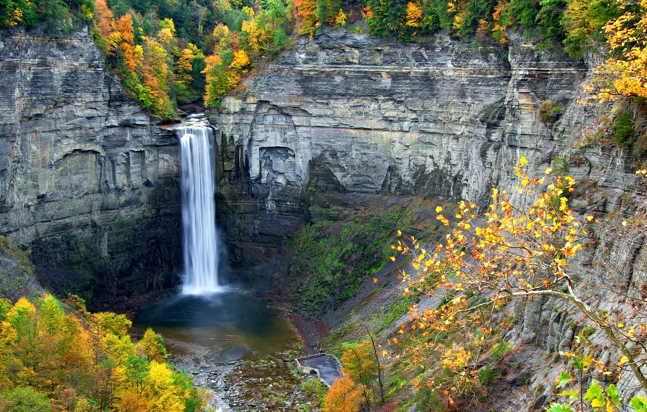 Фото обои осень, деревья, скалы, водопад, поток