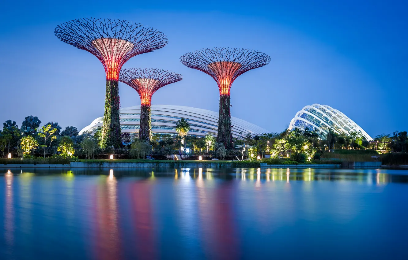 Фото обои небо, вода, деревья, дизайн, огни, парк, вечер, Сингапур