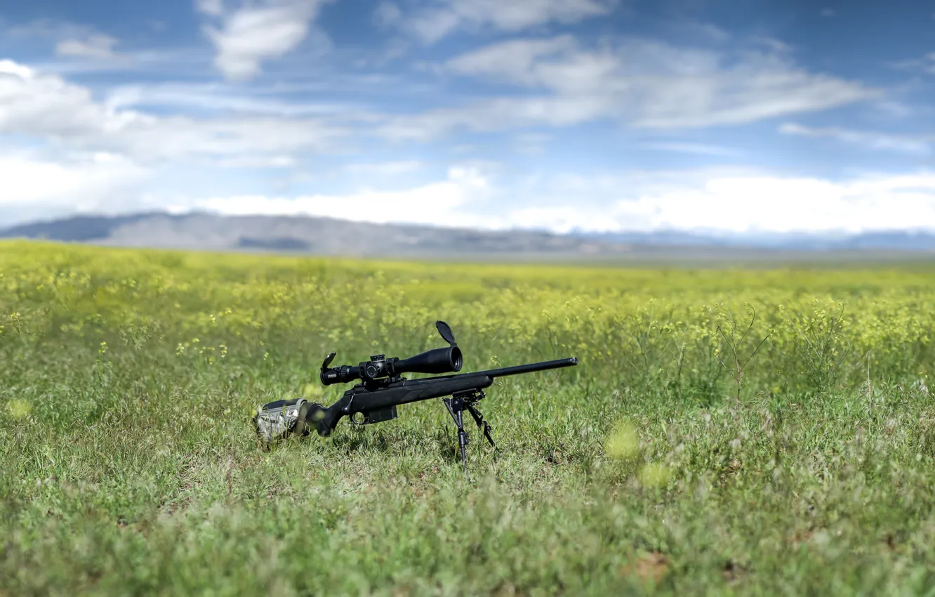Фото обои природа, оружие, оптика, винтовка, снайперская, Tikka T3