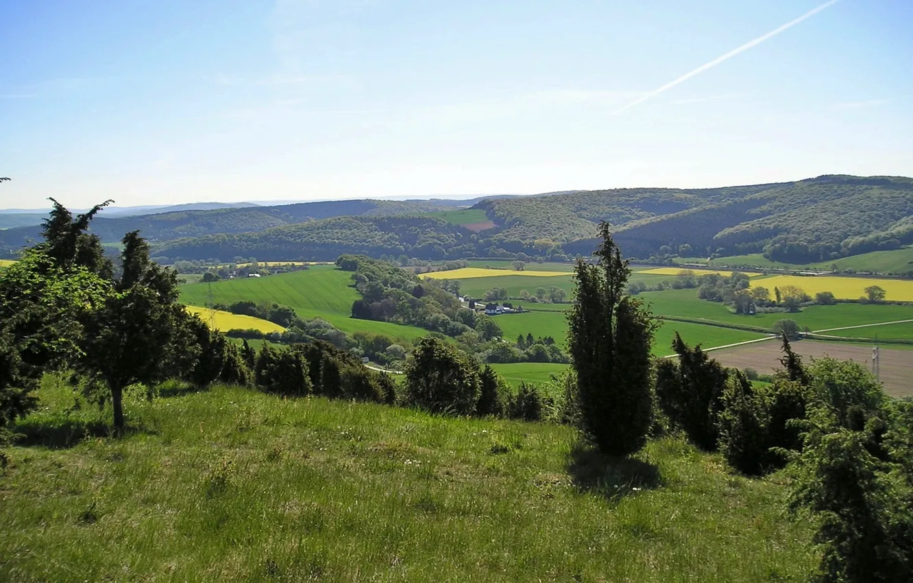 Фото обои hills, spring, rape