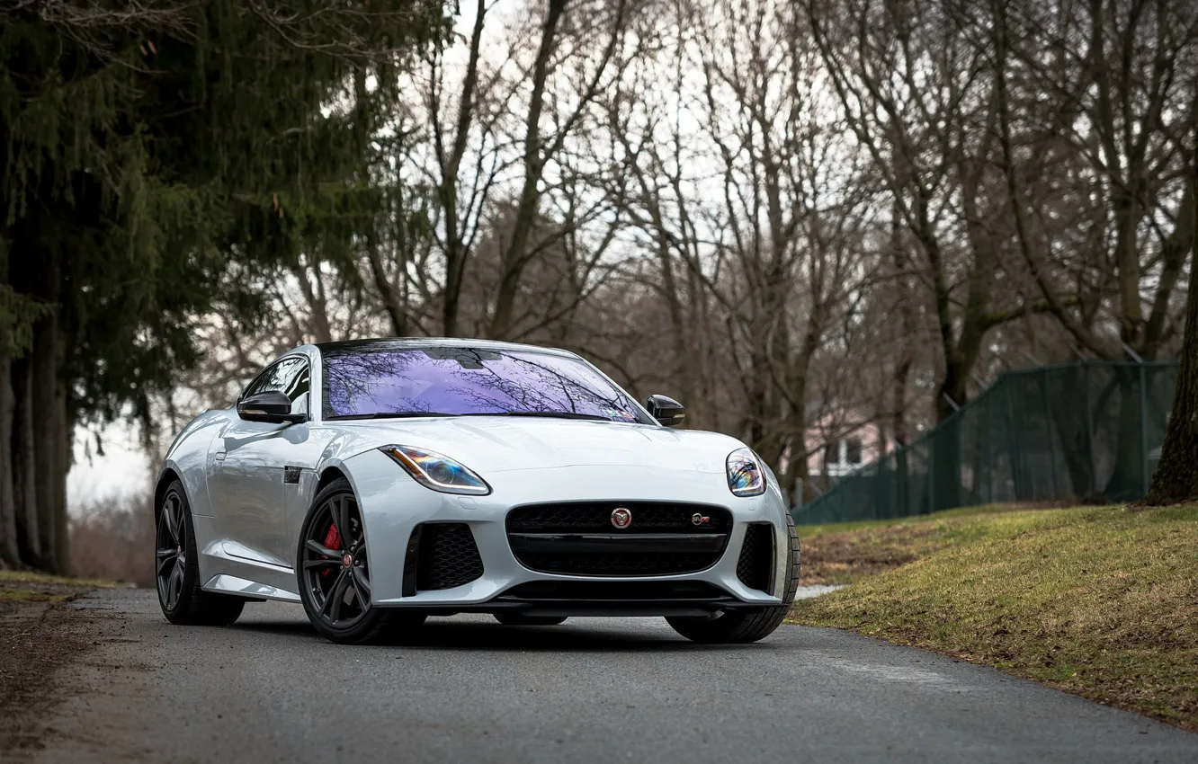 Фото обои Jaguar, Road, F-Type, SVR