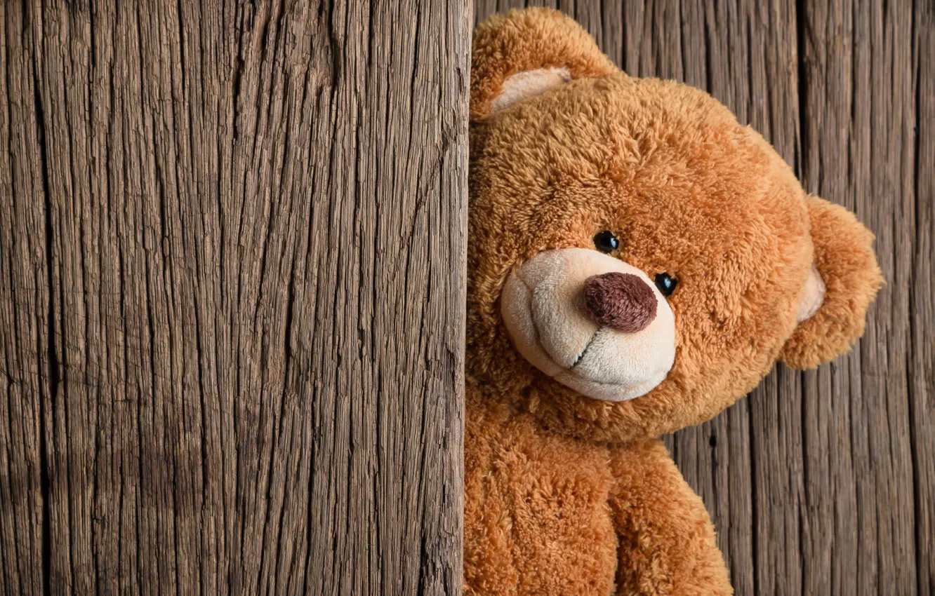Фото обои игрушка, медведь, мишка, wood, teddy bear, cute