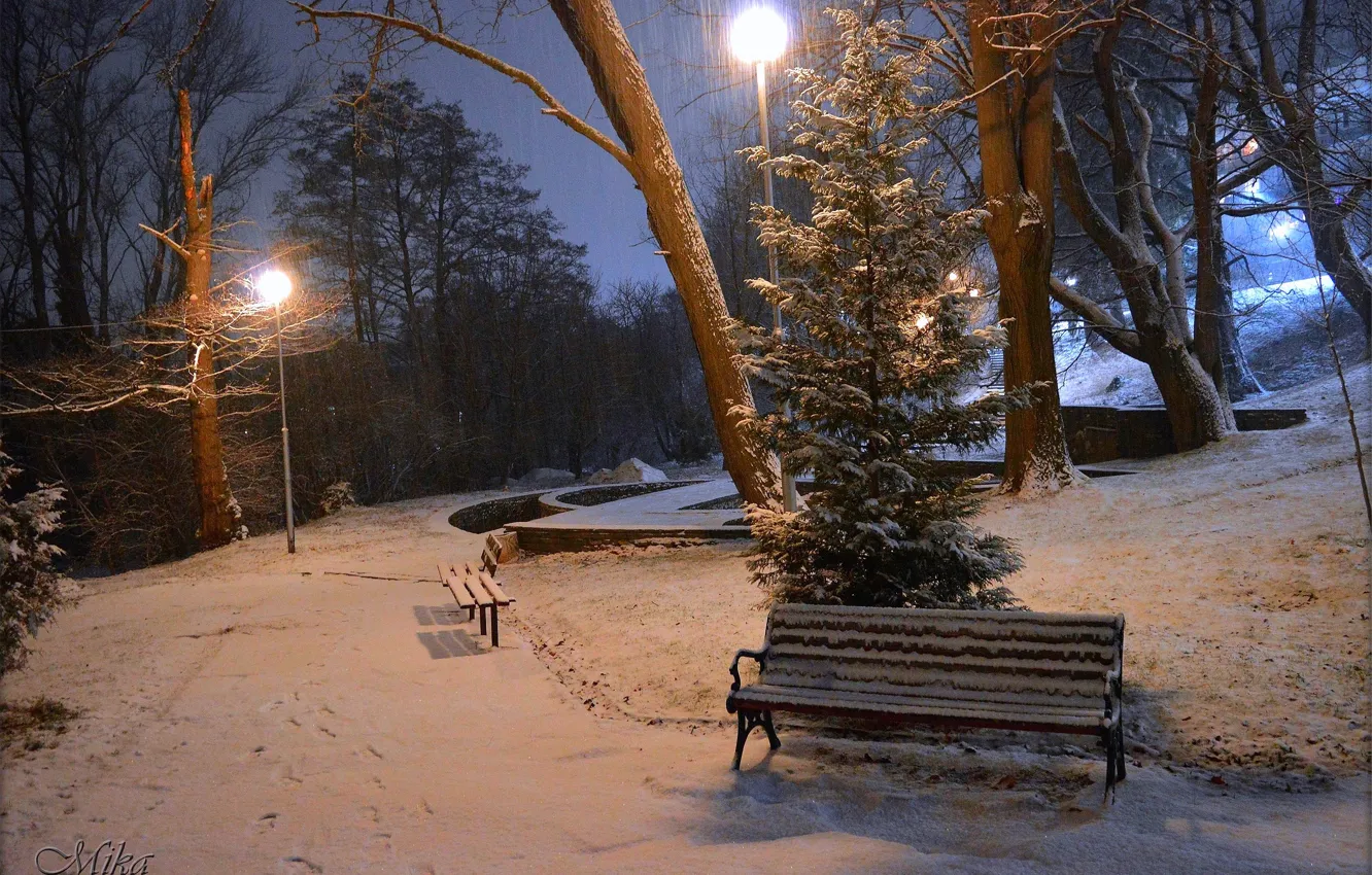Фото обои Зима, Ночь, Снег, Фонари, Парк, Winter, Night, Park