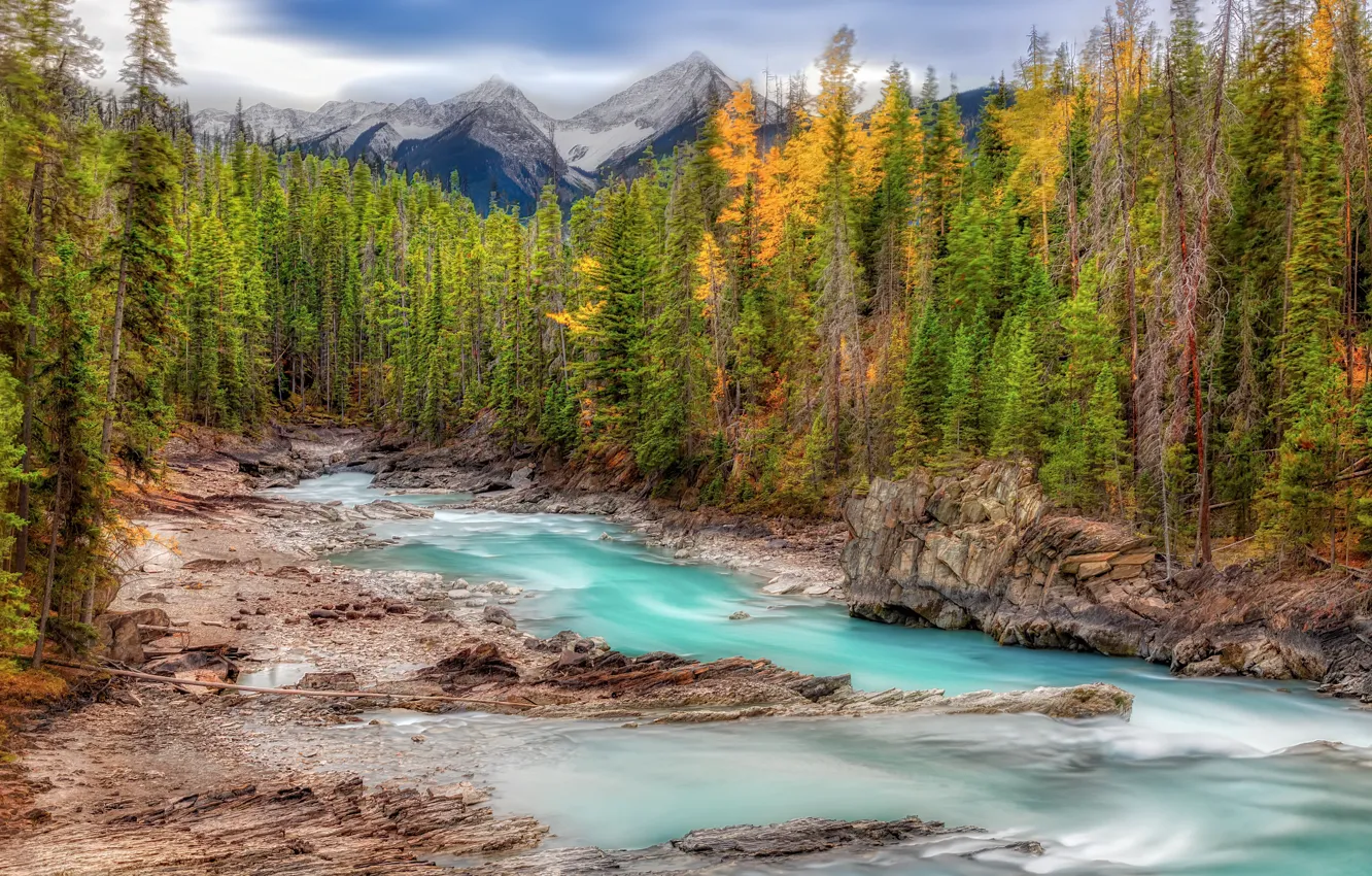 Фото обои осень, лес, горы, река