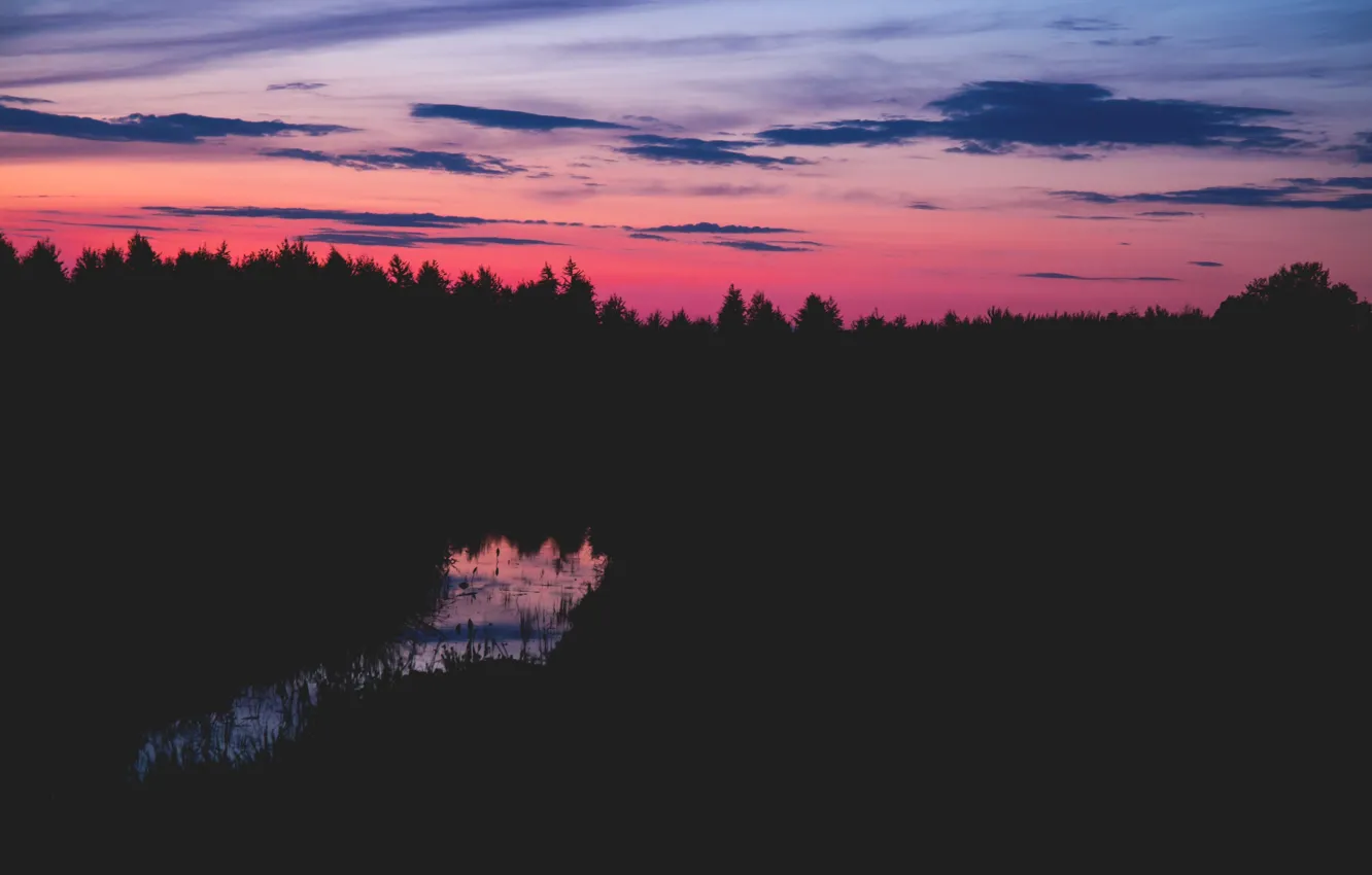 Фото обои sky, trees, sunset, clouds, Poland, magenta, silhouettes, pines