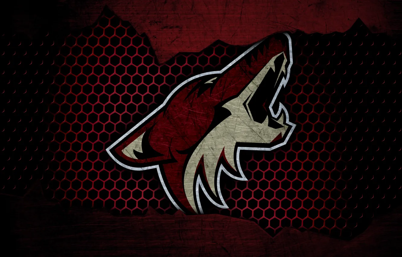 Фото обои wallpaper, sport, logo, NHL, hockey, Arizona Coyotes