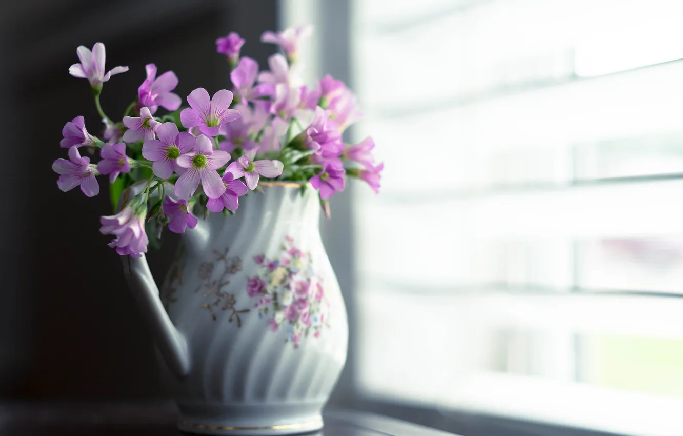 Фото обои цветы, фон, ваза