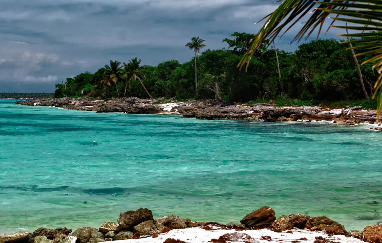 Фото обои пляж, пальмы, океан, остров, бухта, лазурь, карибы