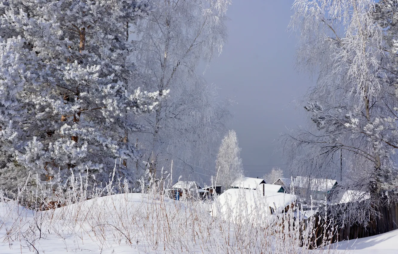 Фото обои зима, иней, трава, снег, деревья, туман, домики