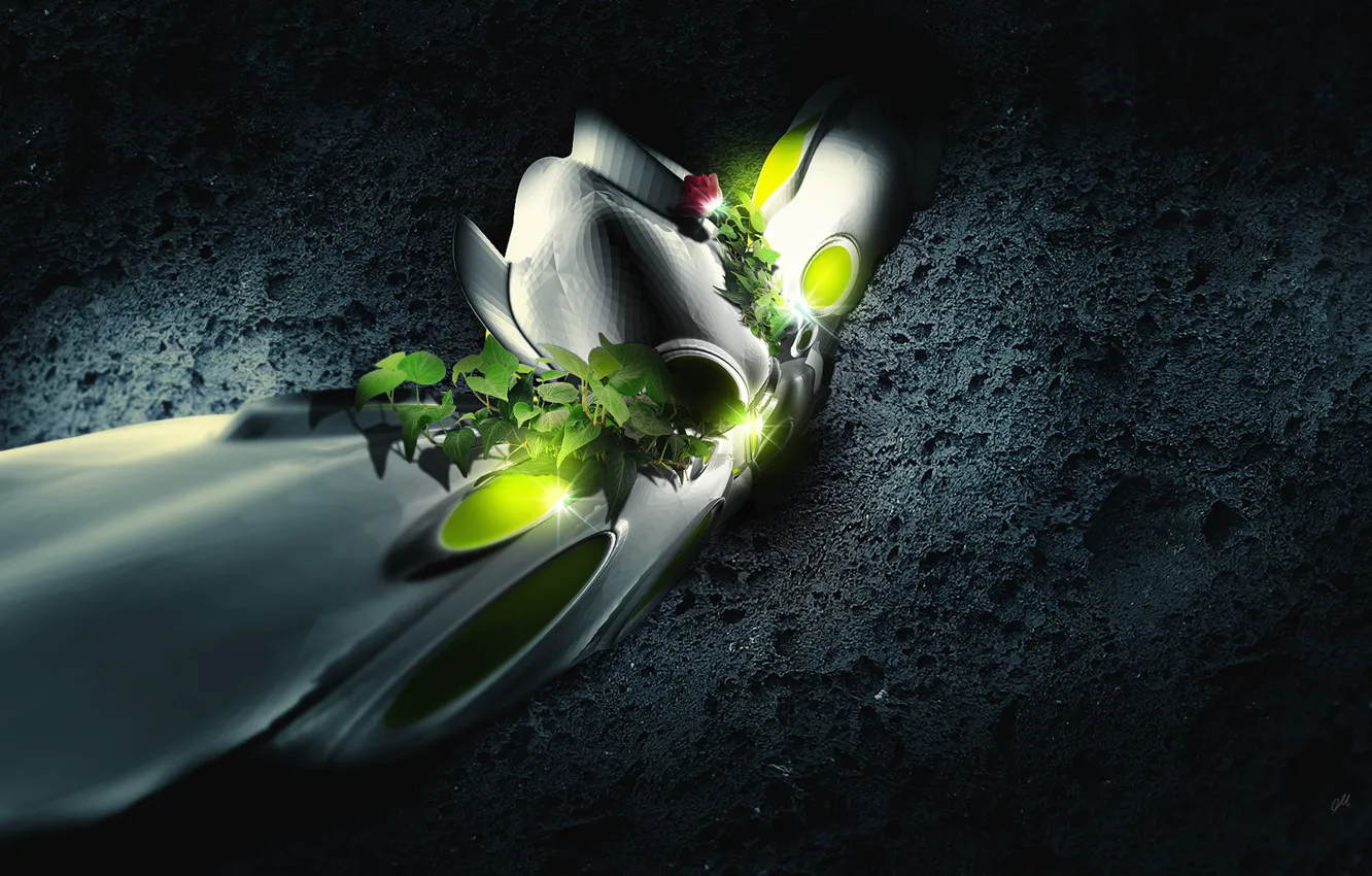 Фото обои цветок, листья, текстура, формы