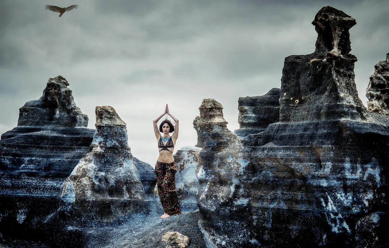 Фото обои девушка, скалы, птица, йога