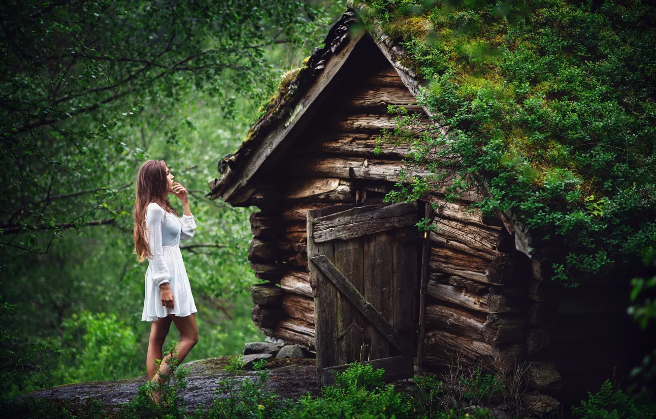 Фото обои лес, девушка, дом