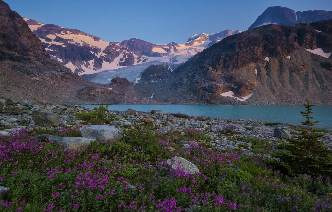 Фото обои цветы, горы, озеро, камни, берег, водоем