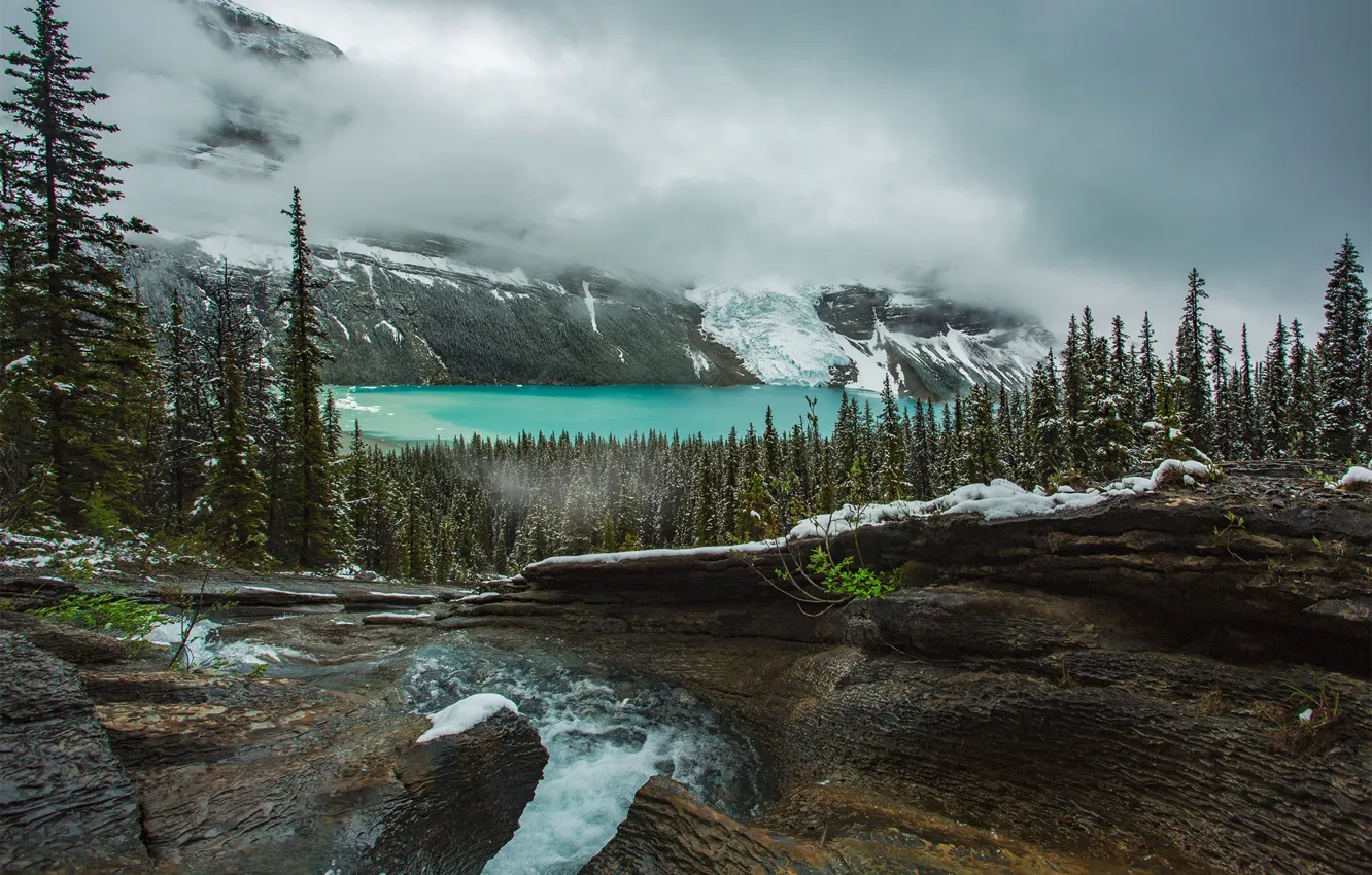 Фото обои лес, горы, озеро, Канада, Mount Robson, Фотограф Evgeny
