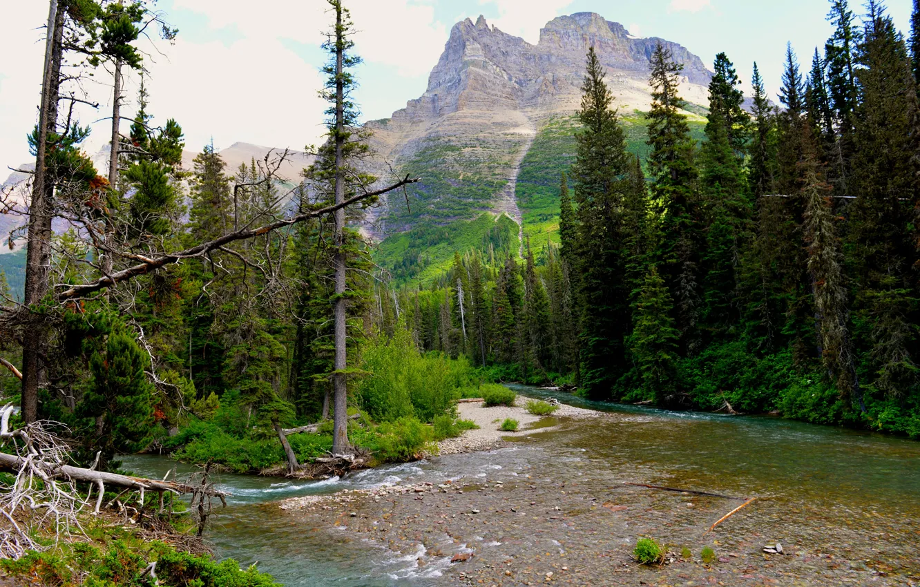 Фото обои небо, деревья, река, гора, сша, glacier national park, montana