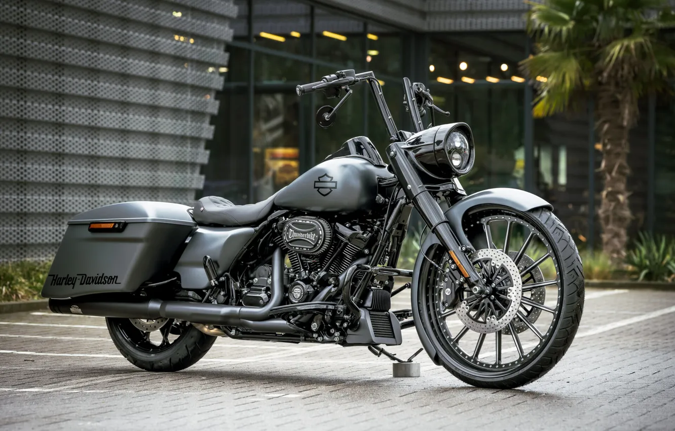 Фото обои road, special, phantom, Tuning, king, harley-davidson, customized, Thunderbike