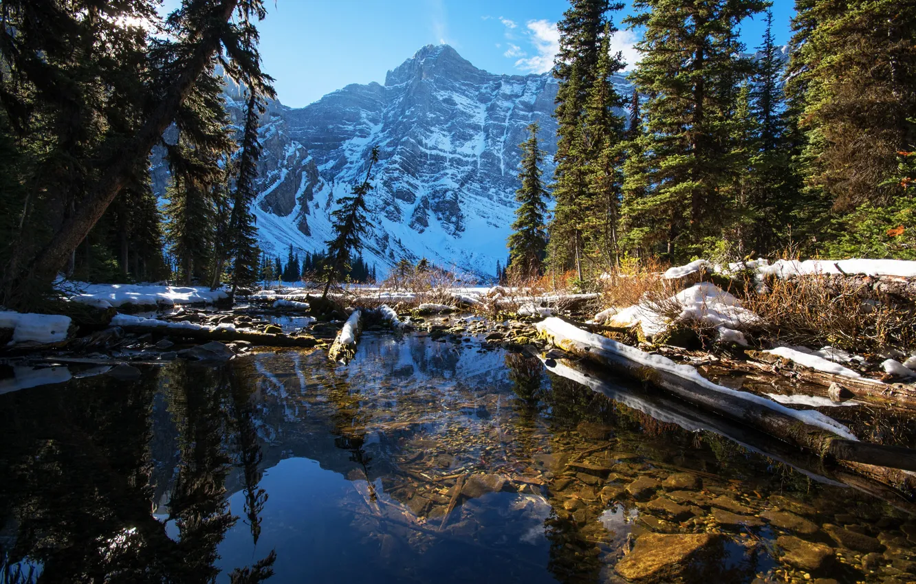 Фото обои зима, лес, небо, вода, солнце, снег, деревья, горы