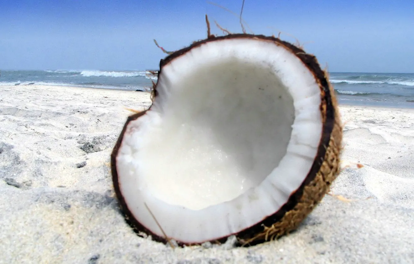 Фото обои песок, пляж, природа, кокос