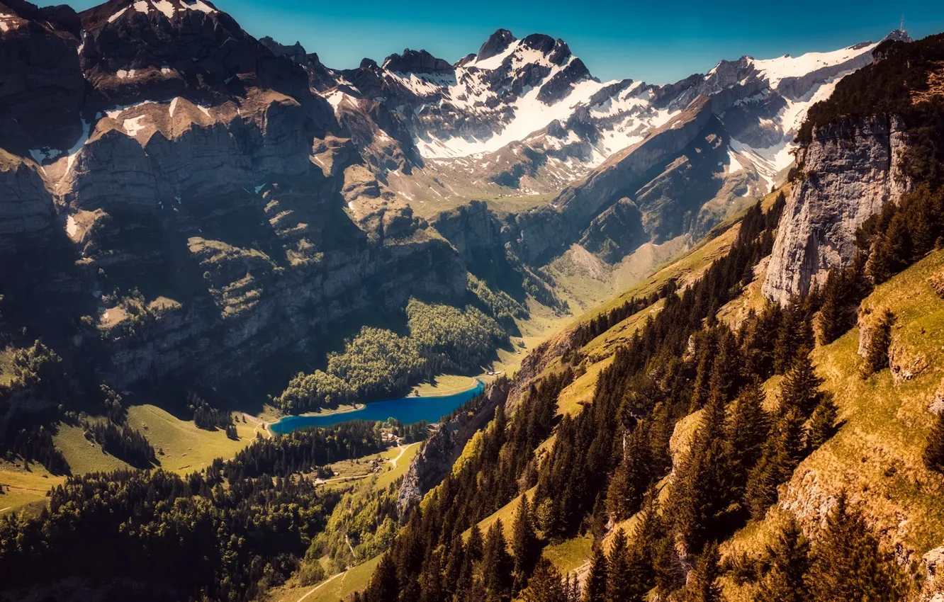 Фото обои солнце, деревья, горы, озеро, скалы, высота, Швейцария, ущелье