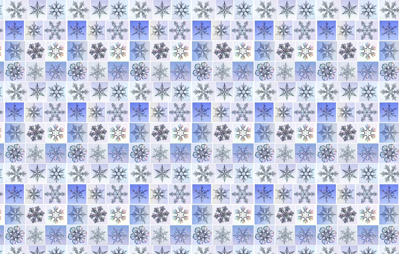 Фото обои снежинки, сетка, рисунок, новый год, звёзды, квадраты, решетка, текстуры