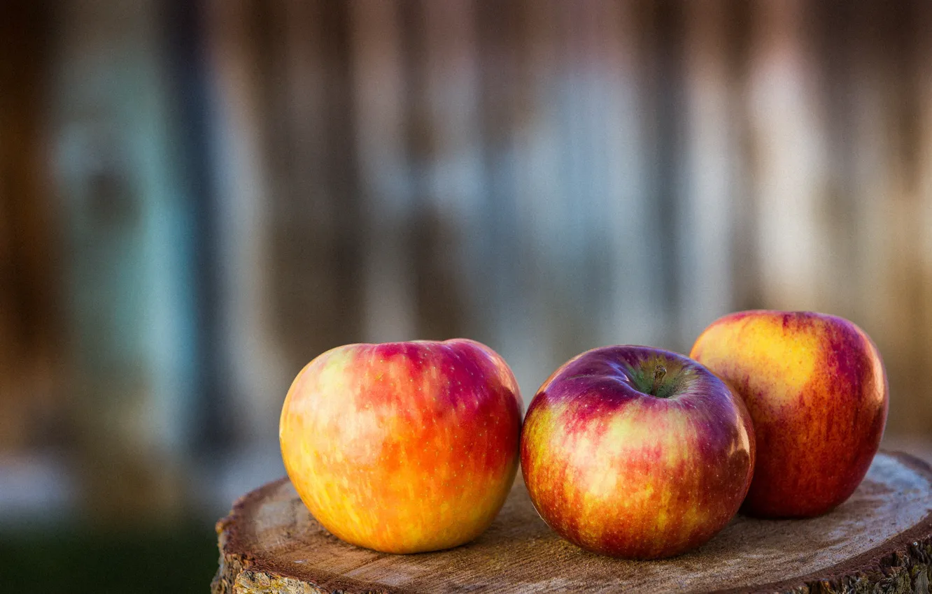 Фото обои яблоки, пенёк, три яблока
