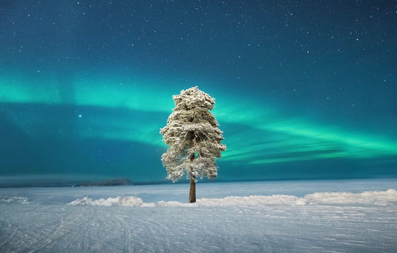 Фото обои Aurora, Финляндия, Finland, Полярное сияние, Скандинавия, Lapland, Лапландия, Scandinavia