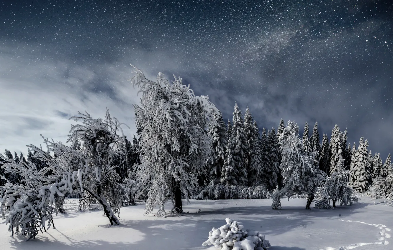 Фото обои sky, night, winter, fantastic, snowy, starry, milky way