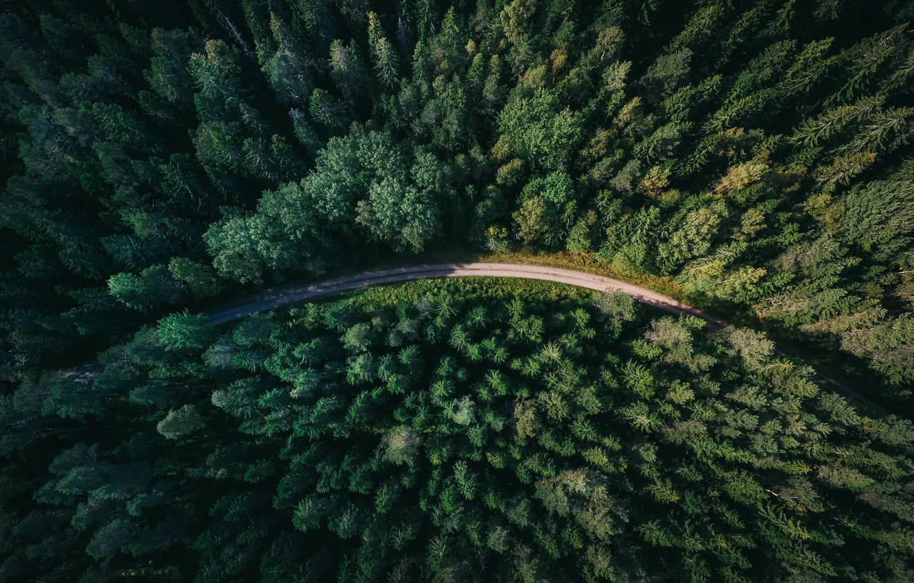 Фото обои дорога, лес, Sweden, вид сверху, Gavle