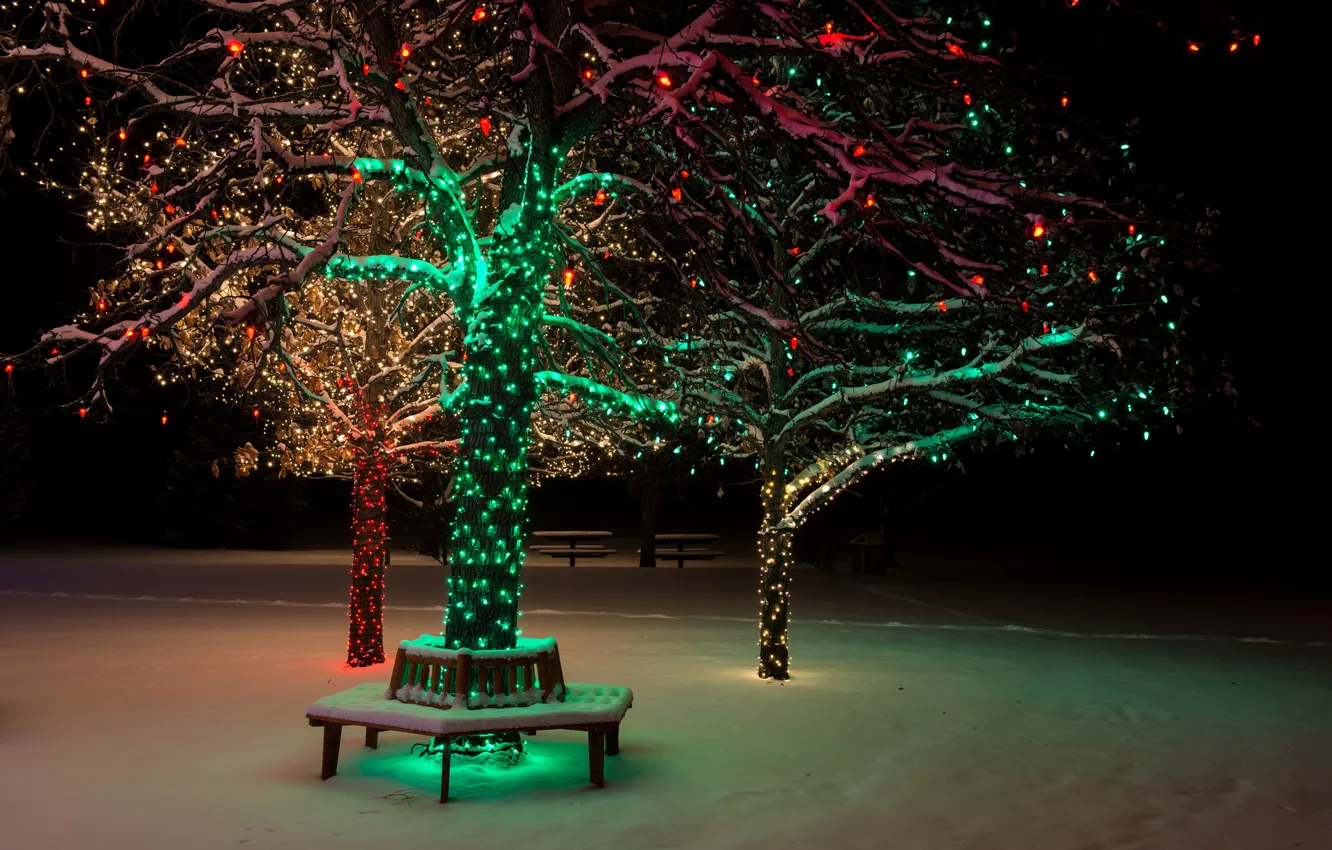 Фото обои зима, снег, ночь, природа, lights, огни, парк, дерево