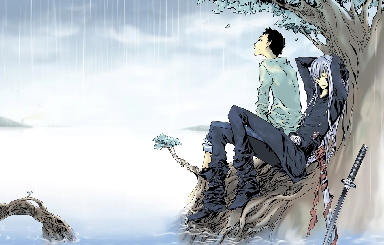 Фото обои дождь, дерево, катана, аниме, Anime, Katekyo Hitman Reborn!, Takeshi Yamamoto, Superbi Squalo