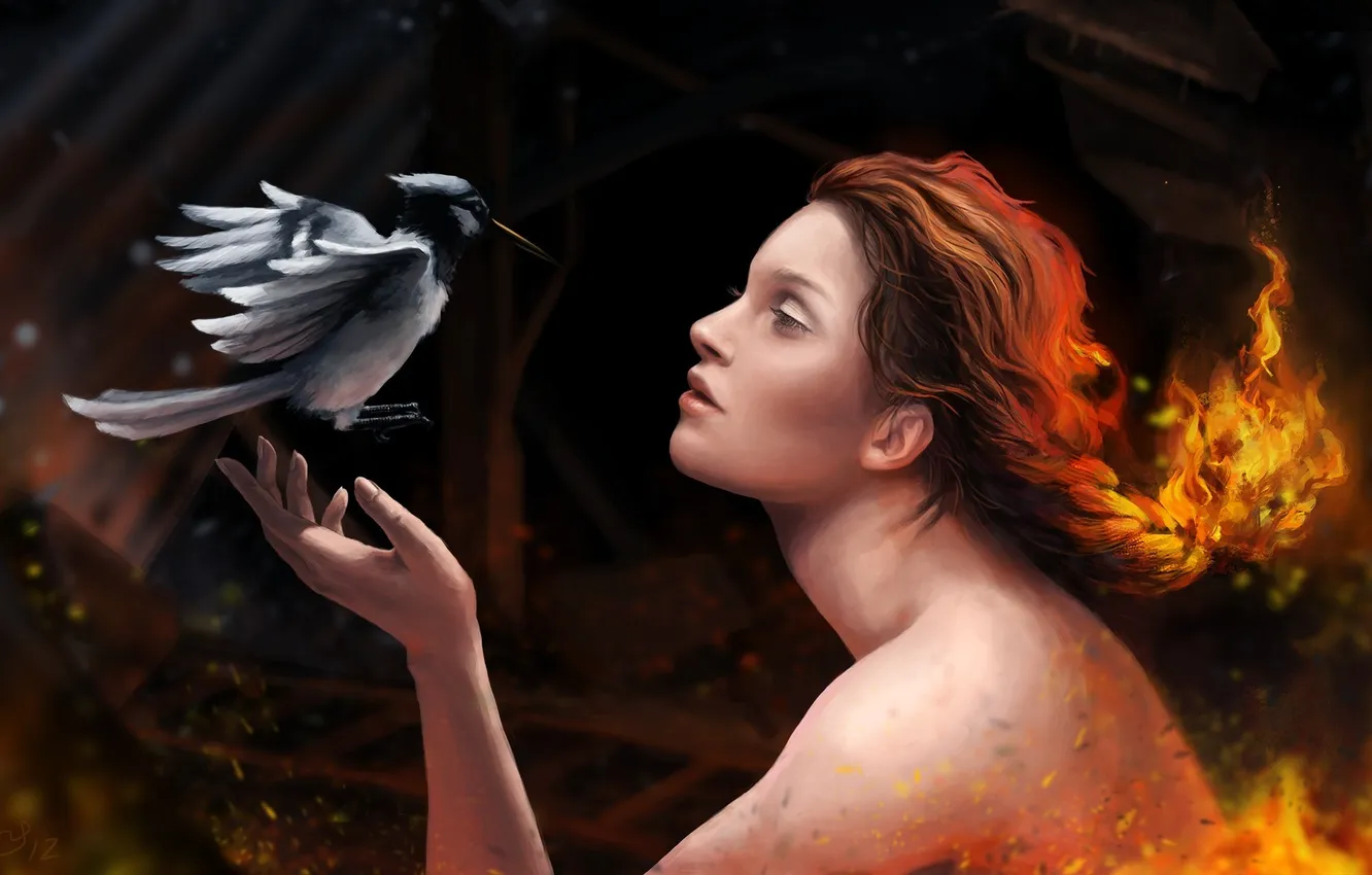 Фото обои девушка, огонь, птица, арт