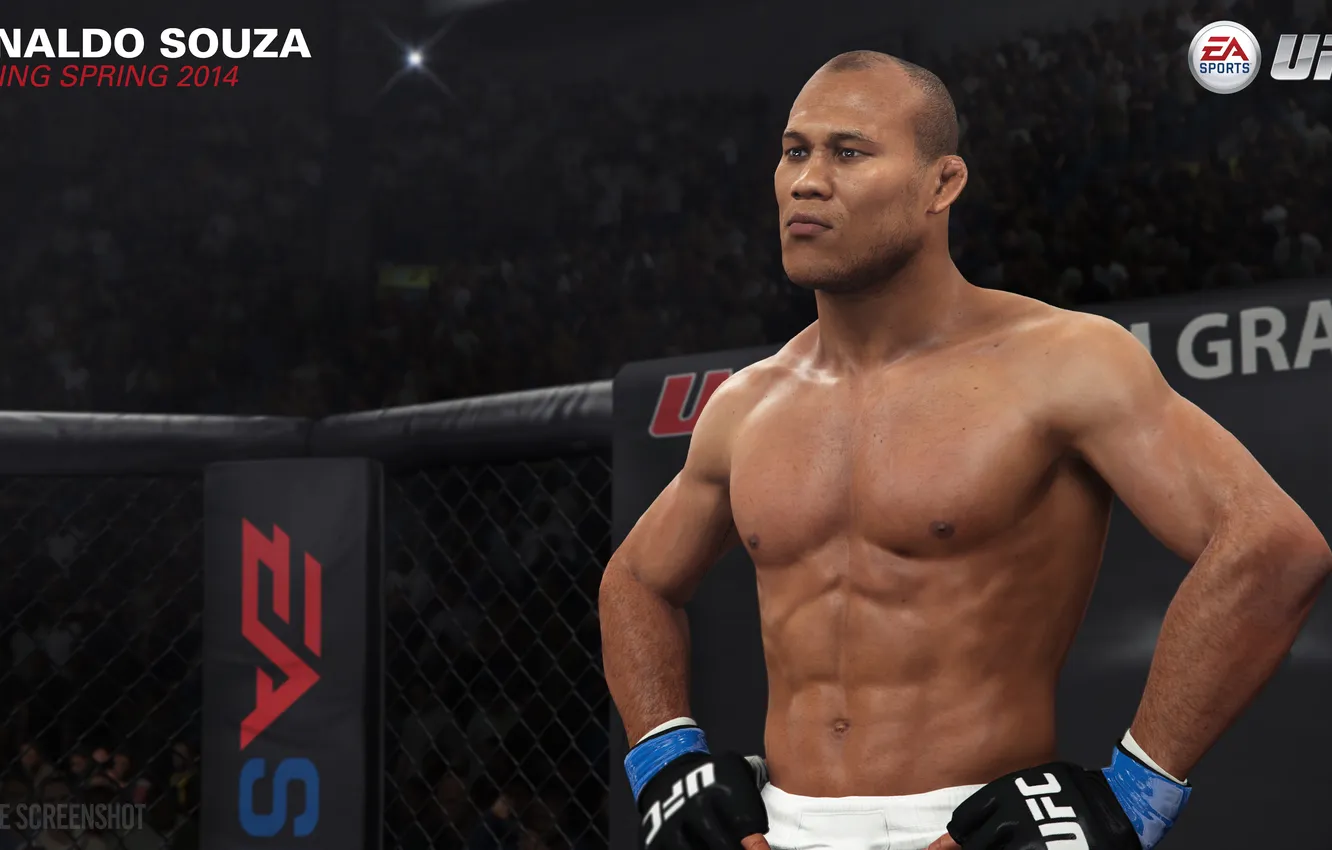 Фото обои Ronaldo, UFC, EA Sports, champion, PS4, Souza, playstation 4