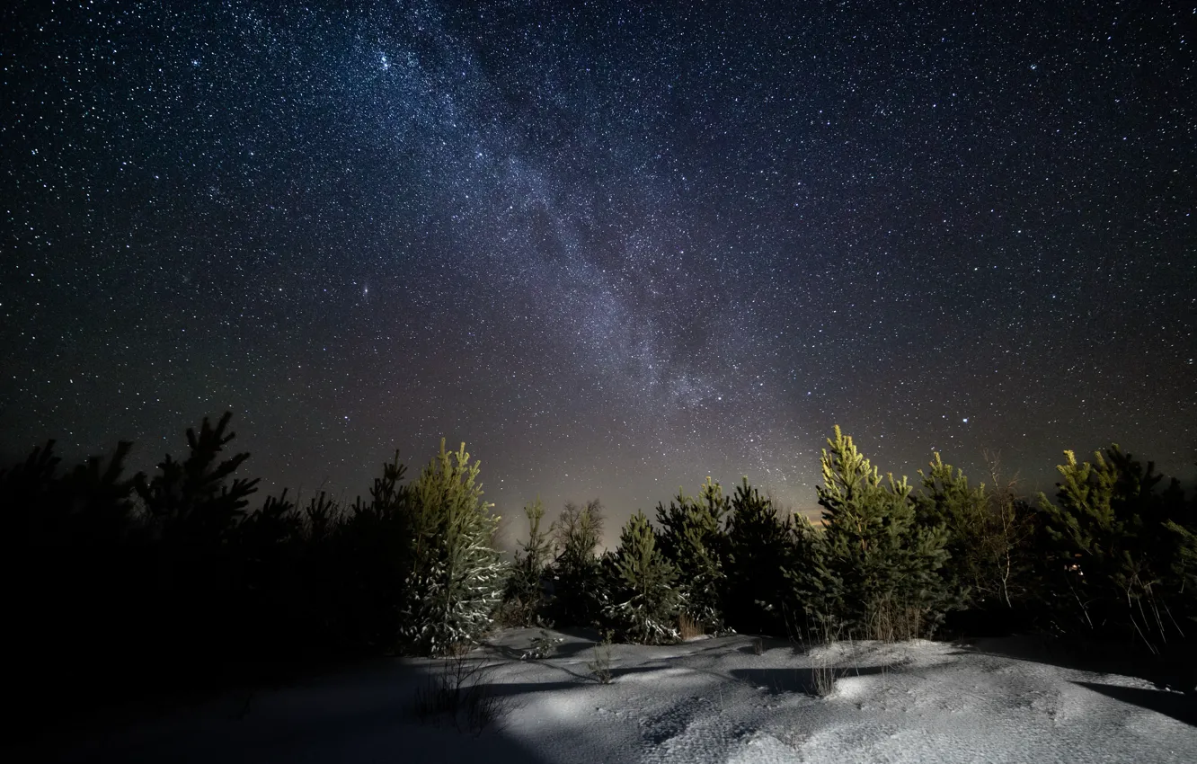 Фото обои зима, снег, ночь, звёзды, млечный путь