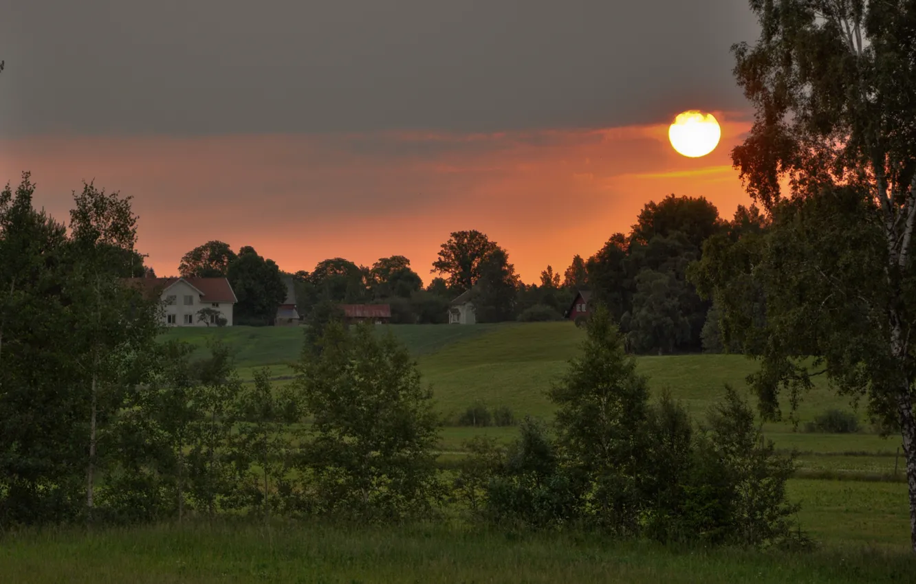 Фото обои поле, природа, восход, дома, деревня, Швеция, Sweden, fields