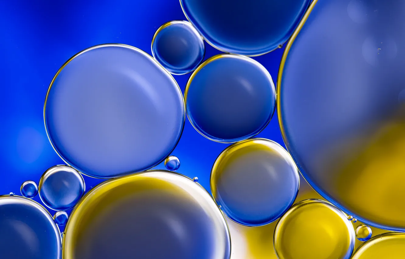 Фото обои круги, синий, пузыри