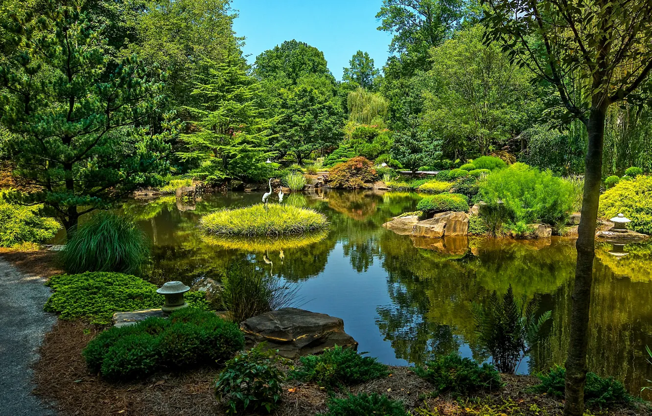 Фото обои зелень, вода, деревья, пруд, парк, камни, США, Ball Ground