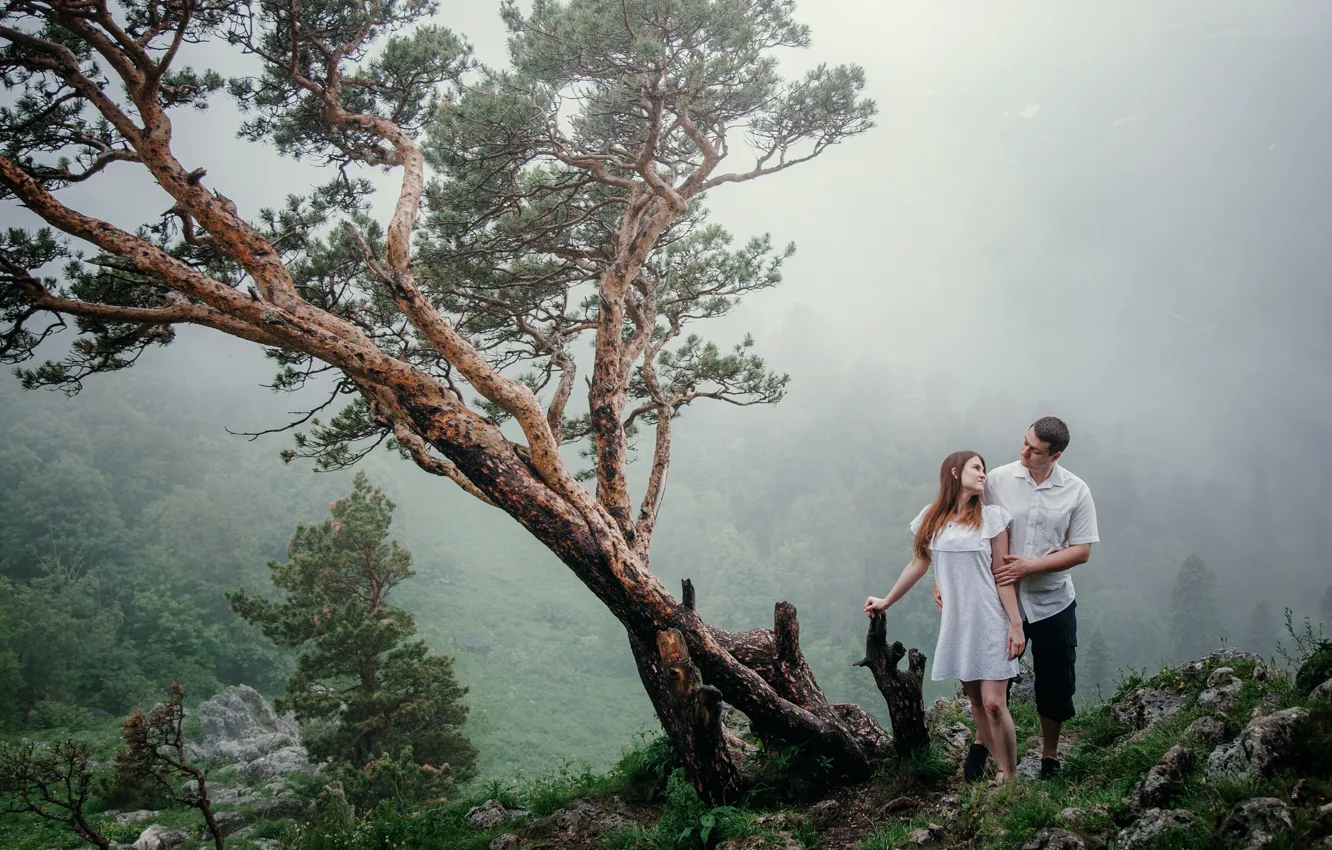 Фото обои девушка, дерево, холм, объятия, мужчина, влюбленные