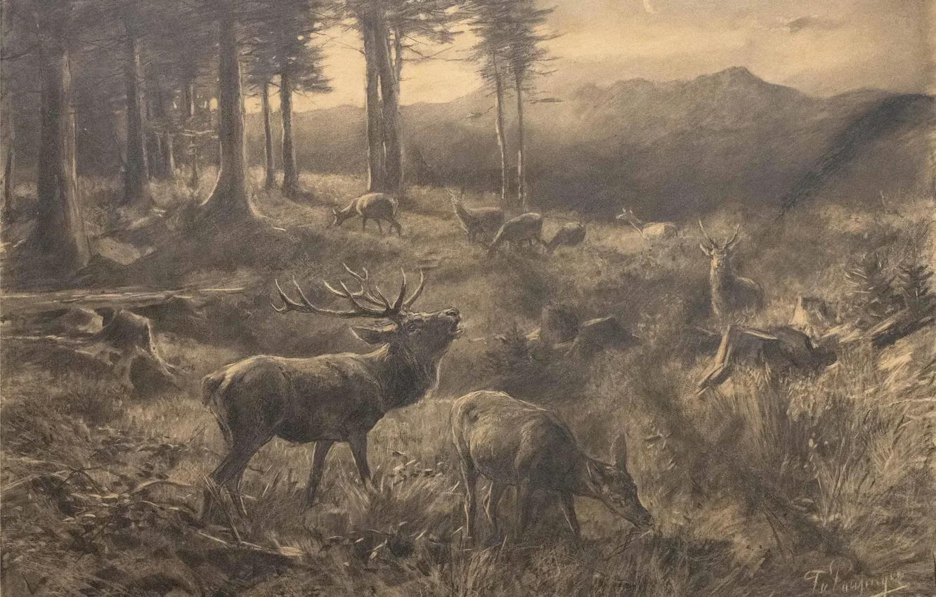 Фото обои Трава, Деревья, Картина, Олени, Карандаш, Franz Xaver von Pausinger, Стая оленей на лесной поляне, Франц …