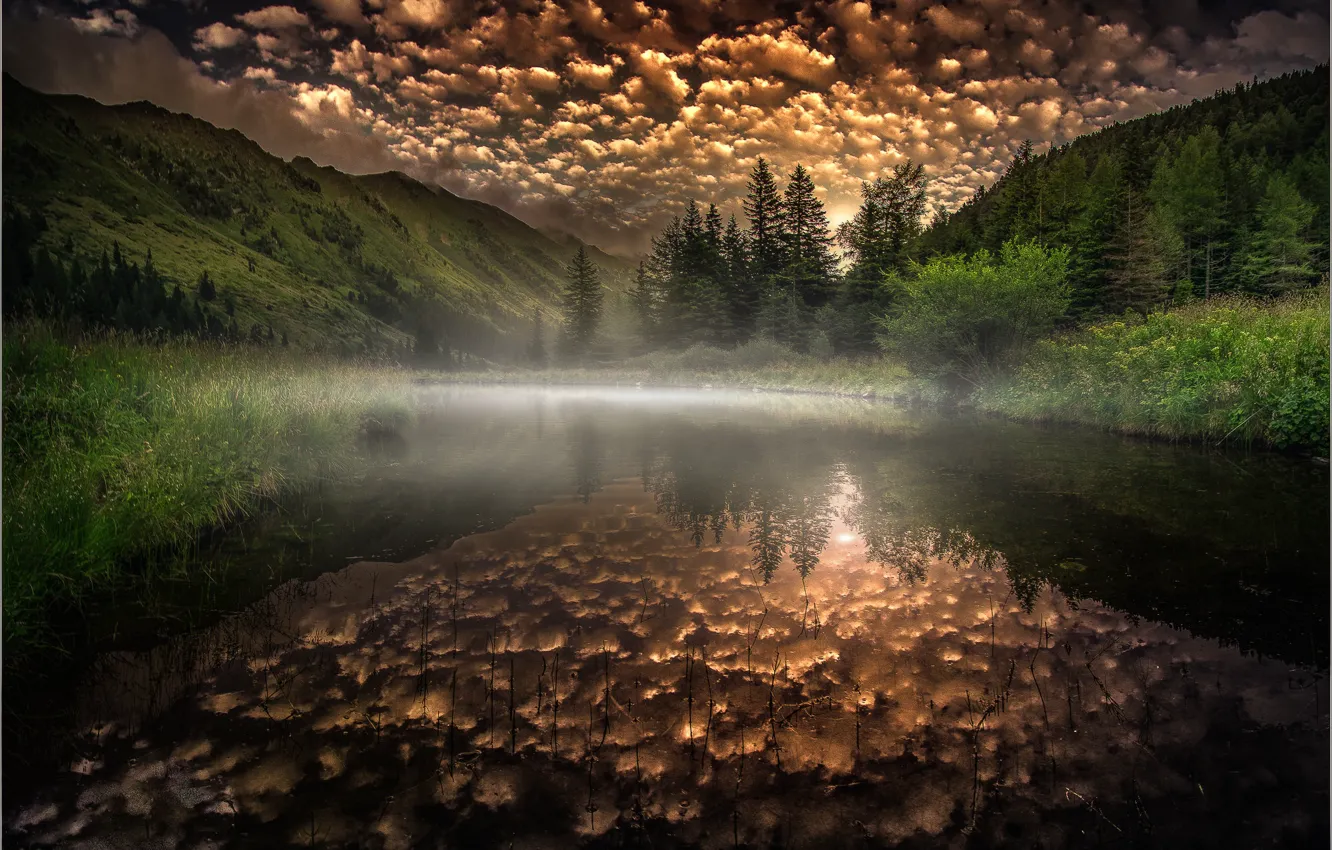 Фото обои лес, небо, горы, река, Friedrich Beren