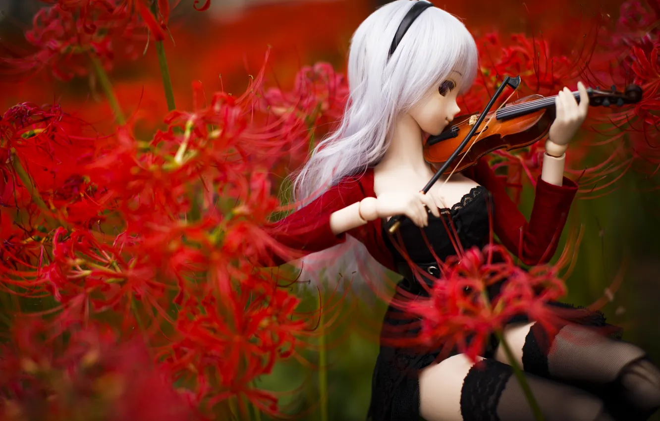 Фото обои цветы, скрипка, игрушка, кукла