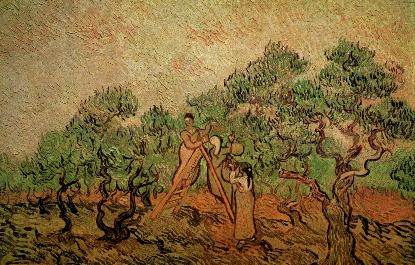 Фото обои деревья, лестница, две девушки, Vincent van Gogh, собирают плоды, Olive Picking 3