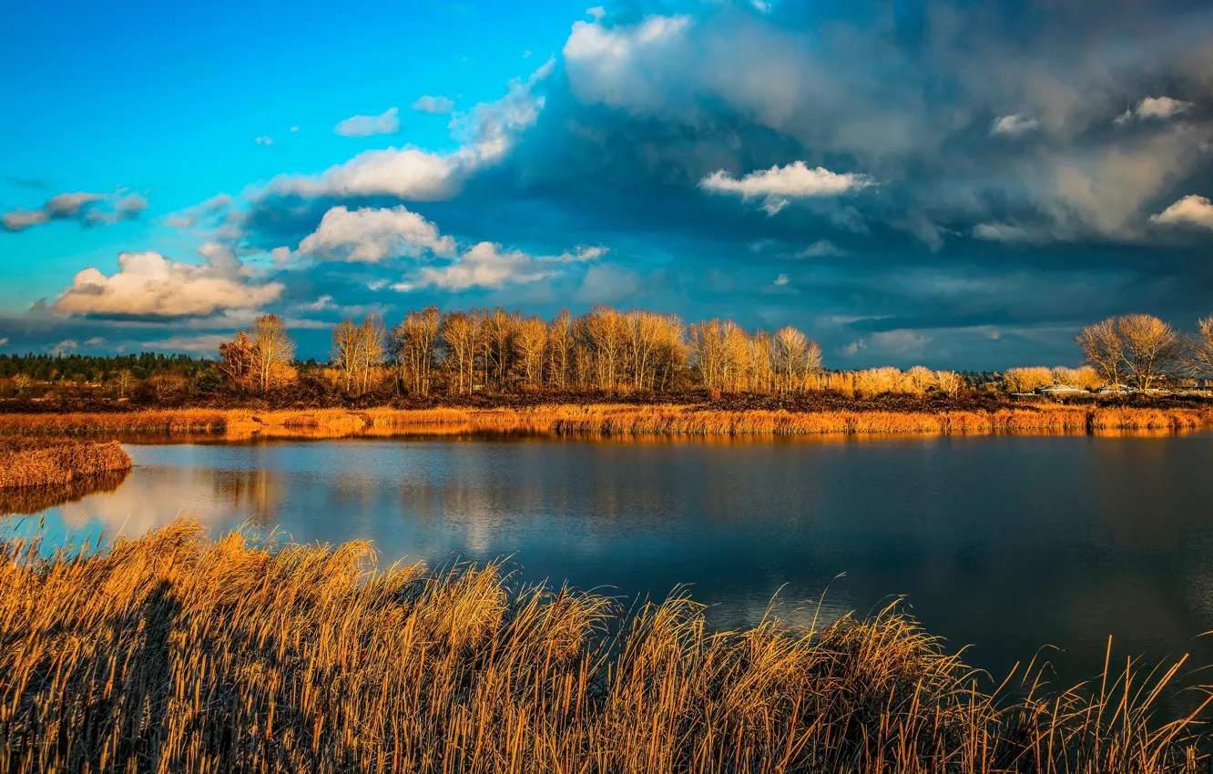 Фото обои осень, облака, свет, деревья, синева, берег, водоем