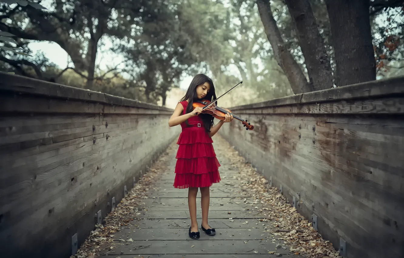 Фото обои скрипка, девочка, The Violinist