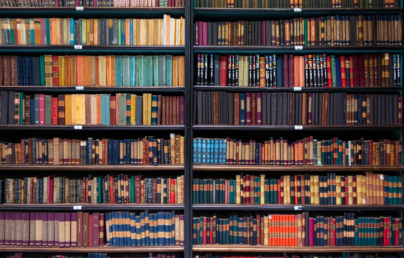 Фото обои colors, books, library